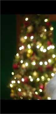 Paula Fernandes - Jingle Bell &amp; Natal Rock